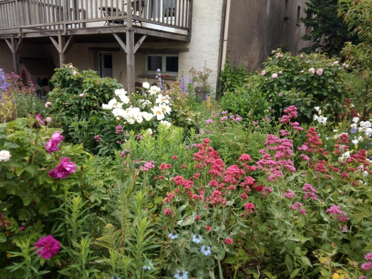 Bed and Breakfast La Grange Aux Hirondelles Athienville Exterior foto